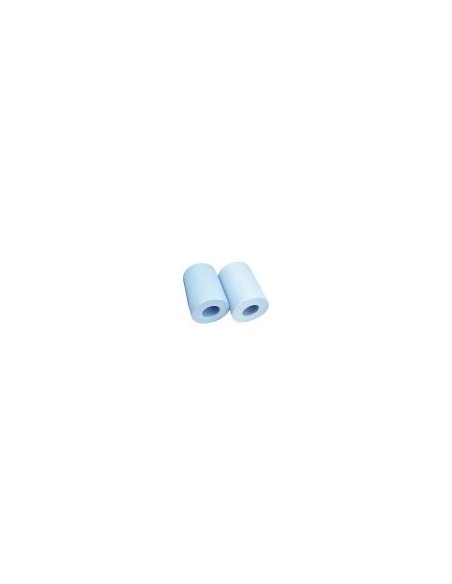 Kit 2 brosses courtes Premium - 9995560-ASSY
