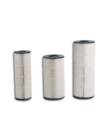 Cartouche Hayward SwimClear C4025-C4030