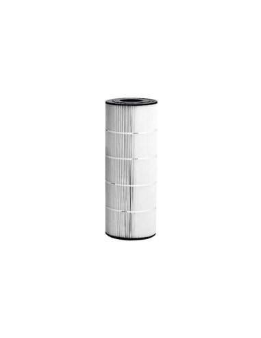 Cartouche Hayward Star Clear C250
