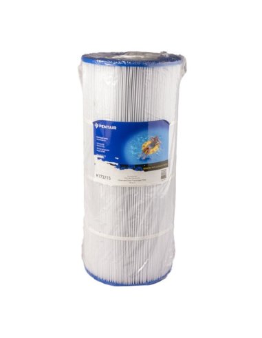 Cartucho Pentair Posi/Clean and Clear 100