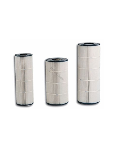 Cartuccia Hayward SwimClear C3025-C3030