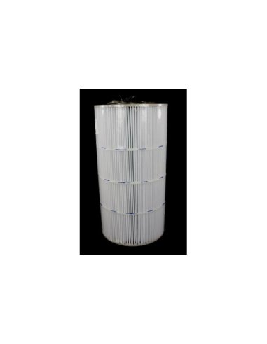 Cartuccia Hayward SwimClear C100SE