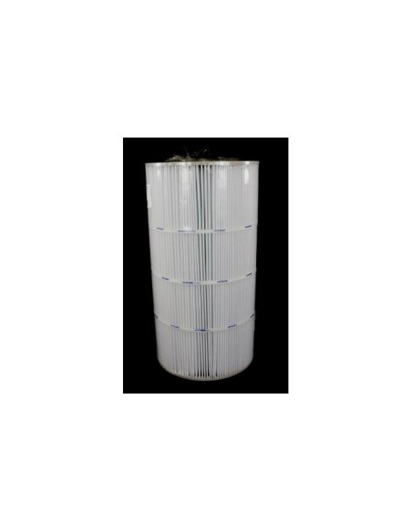 Cartuccia Hayward SwimClear C100SE