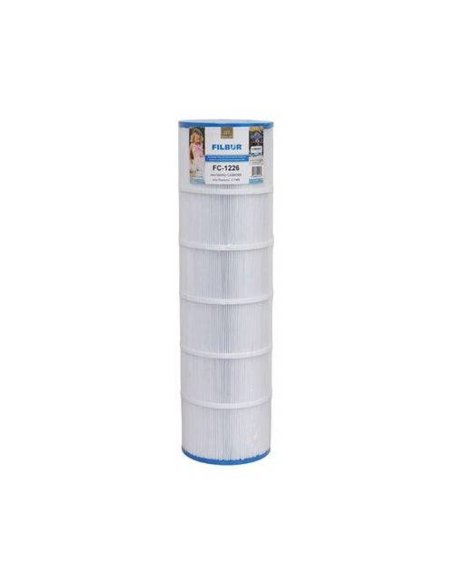 Cartuccia SuperPro SwimClear C4025-C4030