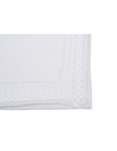 15 micron filter bag compatible with Desjoyaux pools