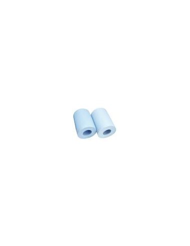 Zestaw Dolphin 2 krótkich szczotek Premium (9995560-ASSY)